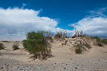 Sand Dunes