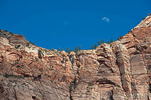 Zion National Park, UT