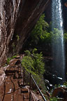 Zion National Park