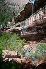 Zion National Park