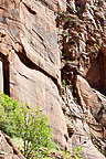 Zion National Park