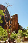 Zion National Park