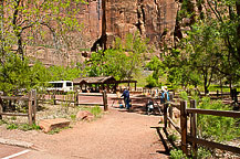 Zion National Park