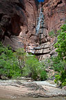 Zion National Park