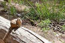 Zion National Park