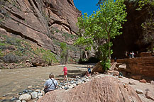 Zion National Park