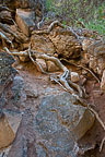 Zion National Park