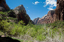 Biggest change we made after delivery was getting a 3-inch memory foam topper from The Foam Shop. We have a 17-foot without a permanent bed, so the topper would make it difficult to use the dinette feature. But having a comfortable bed is critical to vacation success - you can't be happy without enough sleep.Zion National Park