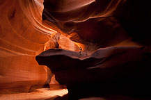 Upper antelope Canyon, Page, AZ