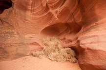 Upper antelope Canyon, Page, AZ