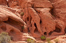 Valley of Fire State Park, NV