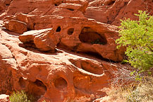 Valley of Fire State Park, NV