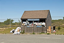Nantucket Dump Bottle Return
