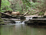 Ricketts Glen State Park, PA