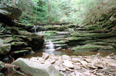 Rickets Glen State Park, PA