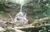 Rickets Glen State Park, PA