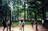 Alumni Picnic Summer '90