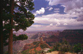 Grand Canyon #1, North Rim, AZ