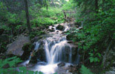 Stream #1, Walk to Hanging Lake, CO