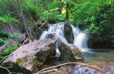 Stream #2, Walk to Hanging Lake, CO