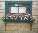 Flower Box, Nantucket, MA