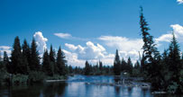 Cottonwood Creek, Tetons