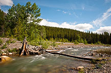 Stream at Running Eagle Falls