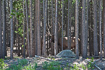 Rocky Mountain National Park