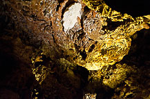 Wind Cave National Park, SD