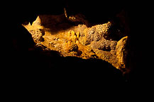 Jewel Cave National Monument