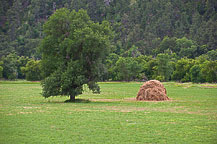 Haystack