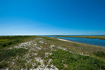 Clamming Area of Ell Point