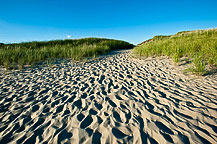 Footsteps at the Beach