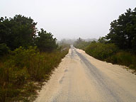 Nantucket Fog