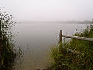 Nantucket Fog