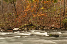 Chittenango Falls State Park, NY