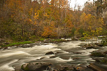 Chittenango Falls State Park, NY