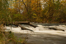 Chittenango Falls State Park, NY