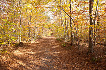 Ricketts Glen State Park, PA