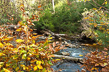 Ricketts Glen State Park, PA