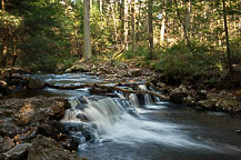 Ricketts Glen State Park, PA