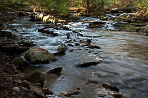 Ricketts Glen State Park, PA