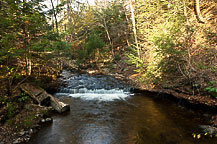 Ricketts Glen State Park, PA