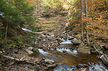 Ricketts Glen State Park, PA