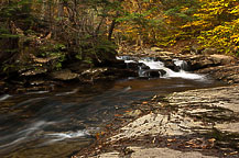 Ricketts Glen State Park, PA