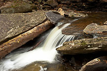 Ricketts Glen State Park, PA