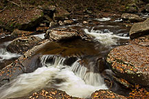 Ricketts Glen State Park, PA