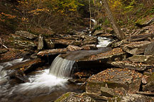 Ricketts Glen State Park, PA