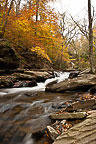 Ricketts Glen State Park, PA