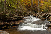 Ricketts Glen State Park, PA